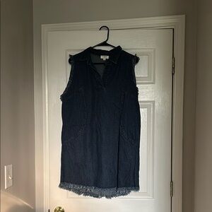 Umgee Blue Sleeveless Ruffled Tunic